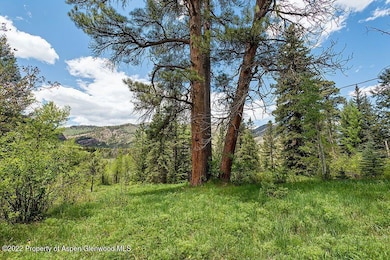TBD Firehouse Rd, Redstone, CO 81623 - photo 2