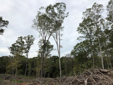 1784 Hartwell Hwy, Elberton, GA 30635 - photo 2