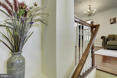 637 Raven Ave, Gaithersburg, MD 20877 - photo 5