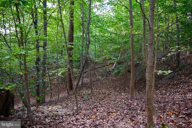 0 Paynes Ln, Aquia, VA 22554 - photo 6