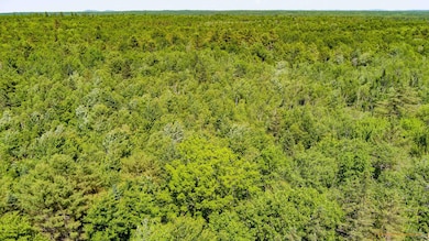 0 Ramsdell Ridge Rd unit 1611976, Milo, ME 04463 - photo 3