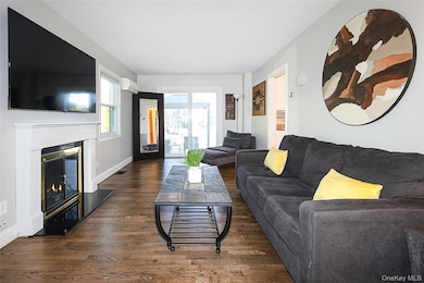 174 Parkside Dr, Roslyn Heights, NY 11577 - photo 3