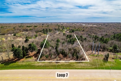 Drone / aerial view featuring a view of trees