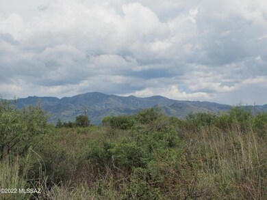 Chiricahua Mtns