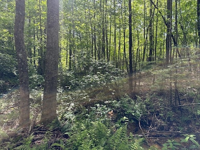 5201 Tennessee 150, Sequatchie, TN 37374 - photo 6