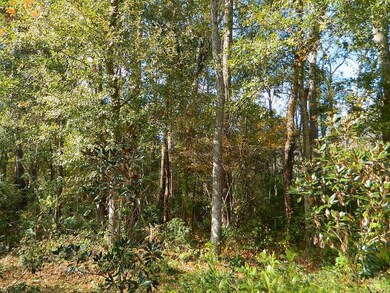 0 Old Landing Rd, Covington, LA 70433 - photo 7