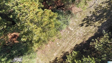 701 County Road 31, Hanceville, AL 35077 - photo 4