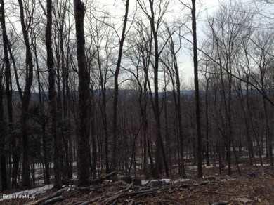 unlisted-address, Dalton, MA 01226 - photo 6