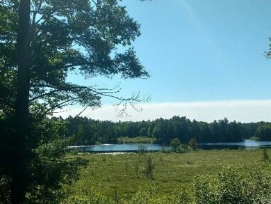 N10598 Alder Rd, Tomahawk, WI 54487 - photo 3