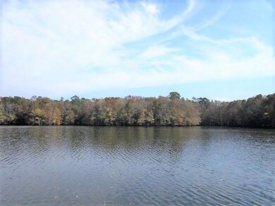 Santee State Park Across the Cove