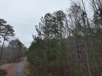 0 Henderson Rd unit 25383633, Odenville, AL 35120 - photo 6