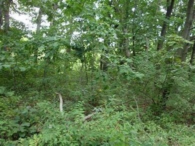 12210 Lee St, Crown Point, IN 46307 - photo 4