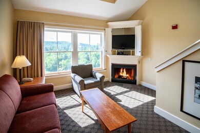 Jackson Gore Village, Ludlow, VT 05149 - photo 3