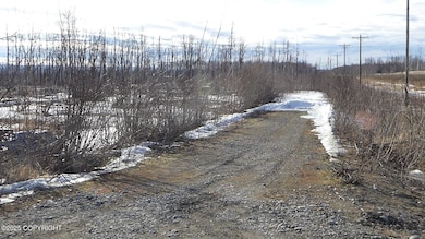 56731 S Goat Ct, Willow, AK 99688 - photo 2