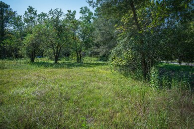 5830 Willow Dr, Pearland, TX 77584 - photo 3