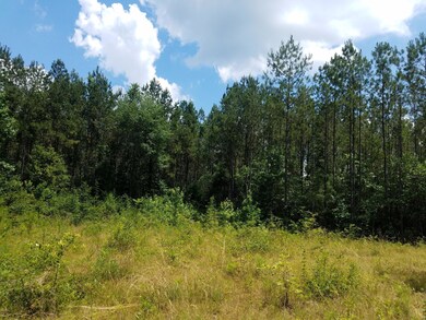 2.5 acres in Greene County