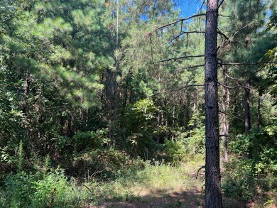 53 Weathered Timber Trail, Broken Bow, OK 74728 - photo 7