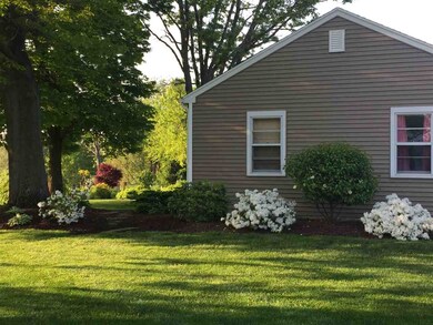 Green grass and plants and trees are everywhere he