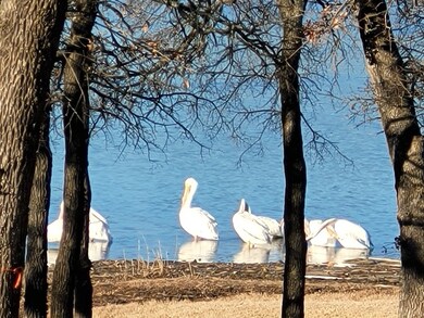 Lot 449 Ranchview Ct, Bowie, TX 76230 - photo 7