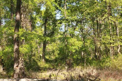 212 Sam Smith Cir, Crawfordville, FL 32327 - photo 4