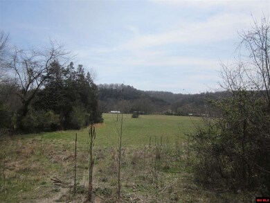 Great building sites on almost flat acreage, trees
