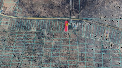 Apache unit AZ, Saint Johns, AZ 86512 - photo 5