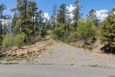 2511 Taylor Ranch Rd, Durango, CO 81301 - photo 5