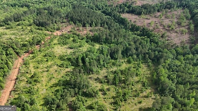 21 Emmaus Dr, Elberton, GA 30635 - photo 5