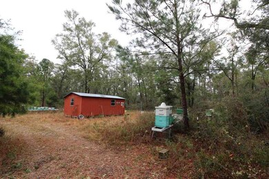 141 Isle of Paradise Rd, Crawfordville, FL 32327 - photo 5