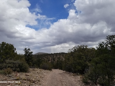 8 Juniperwood Ranch, Ash Fork, AZ 86320 - photo 7