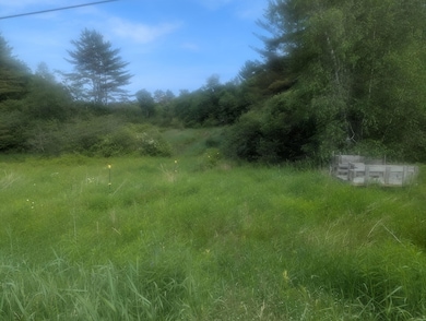 171 Fisher Rd, Monroe, ME 04951 - photo 3