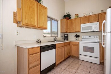 0011-OCotillo (11)