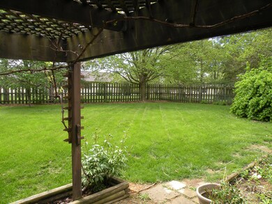 Fenced Yard w Grapevine Canopy
