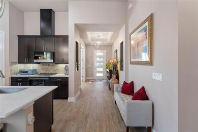 High Ceilings with Tray Ceiling & Light Fixture in Foyer/Hallway
