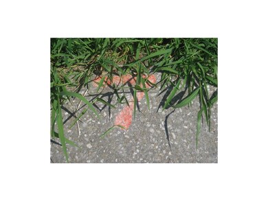 Lot 7 marked on curb.
