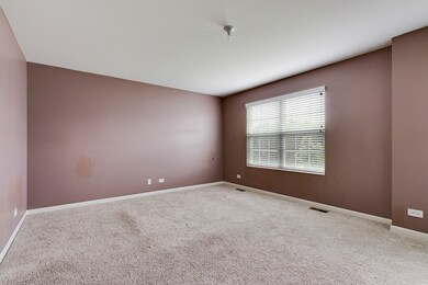 1783 Ruby Dr, Pingree Grove, IL 60140 - photo 4