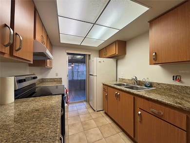 14 E Las Palmas Way, Kissimmee, FL 34743 - photo 5