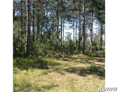 8734 N Bass Lake Rd, Danbury, WI 54830 - photo 5