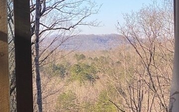 39 High Meadows Ct, Morganton, GA 30560 - photo 4