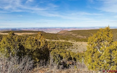 11204 Colorado 141, Egnar, CO 81325 - photo 2
