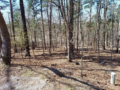 L23 Condry Ln, Bella Vista, AR 72714 - photo 4