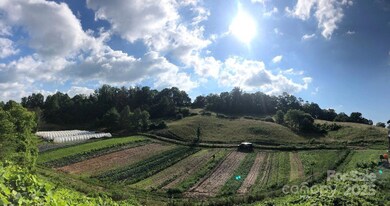 17 French Broad River Way unit 98, Asheville, NC 28804 - photo 6