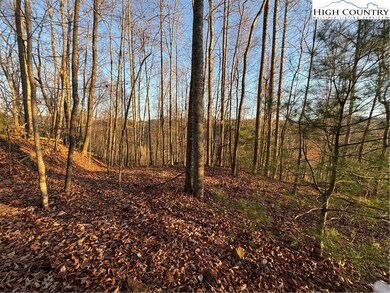 TBD Globe Rd, Lenoir, NC 28645 - photo 7