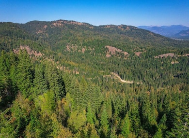 0 Nka Bodie Canyon Rd, Priest River, ID 83856 - photo 3