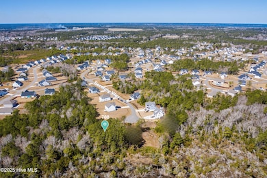 708 Serenity Way, Sneads Ferry, NC 28460 - photo 2