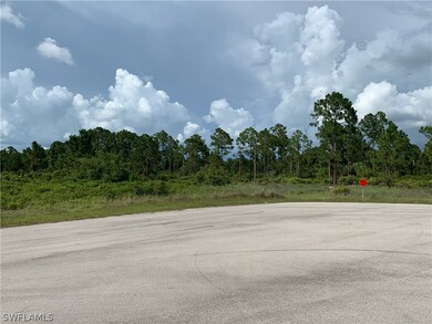 0 Access Undetermined unit 222064855, Lehigh Acres, FL 33974 - photo 3