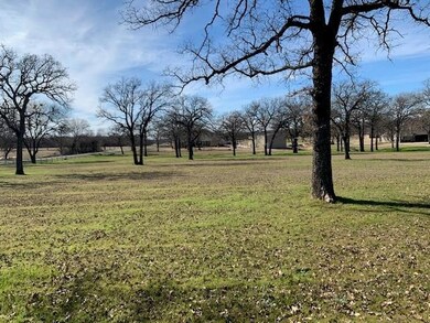 502 Hlavek Rd, Decatur, TX 76234 - photo 4