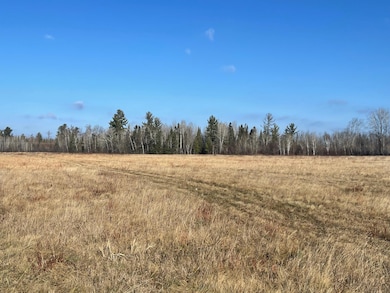 14730 County Road 25, Wawina Township, MN 55736 - photo 6