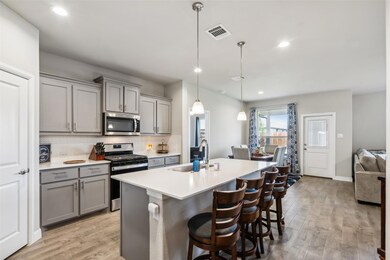 2353 Briscoe Ranch Dr, Hudson Oaks, TX 76087 - photo 4