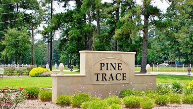 9963 Southern Bayberry Dr, Tomball, TX 77375 - photo 7